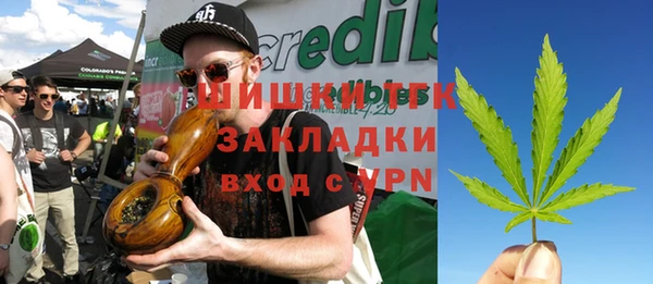 стаф Няндома