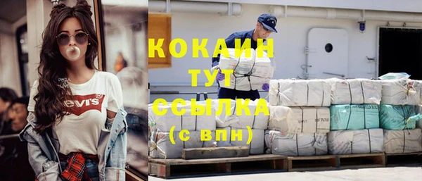 прущие крисы Болотное