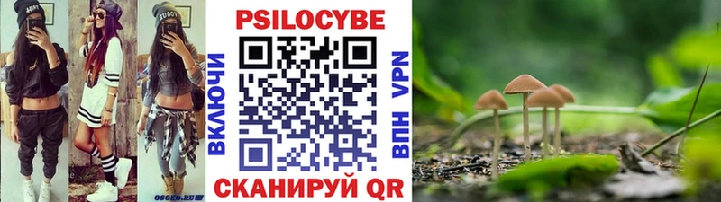 Псилоцибиновые грибы Cubensis  Петровск-Забайкальский 