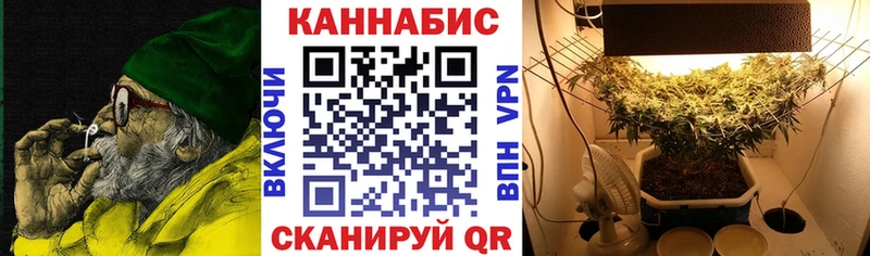 Бошки Шишки Amnesia  наркота  Петровск-Забайкальский 